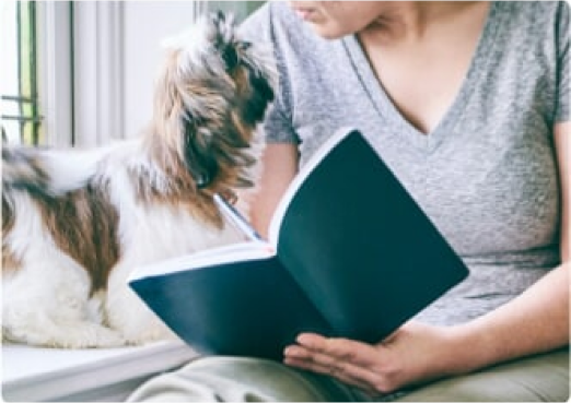 Petit chien à côté d’un propriétaire tenant un livre