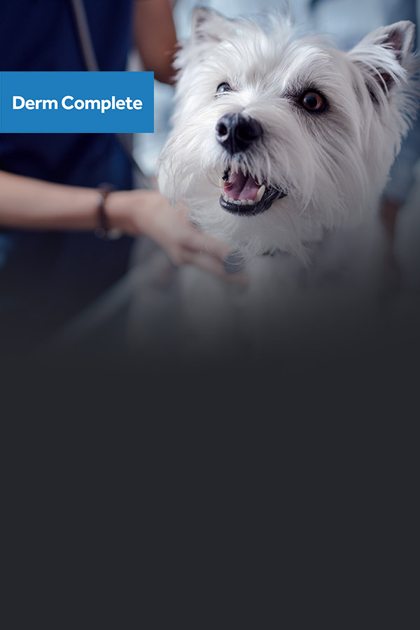 Derm Complete Canin