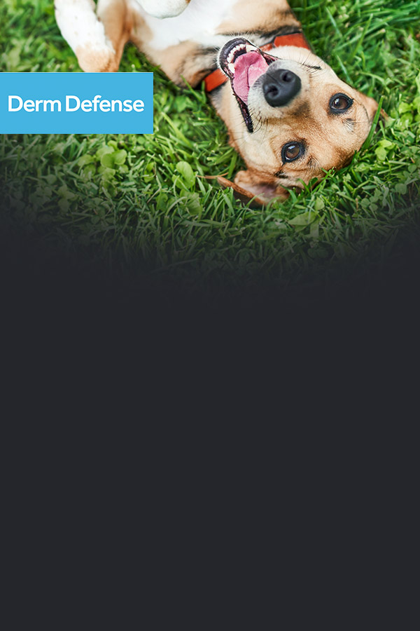 Derm Defense canin
