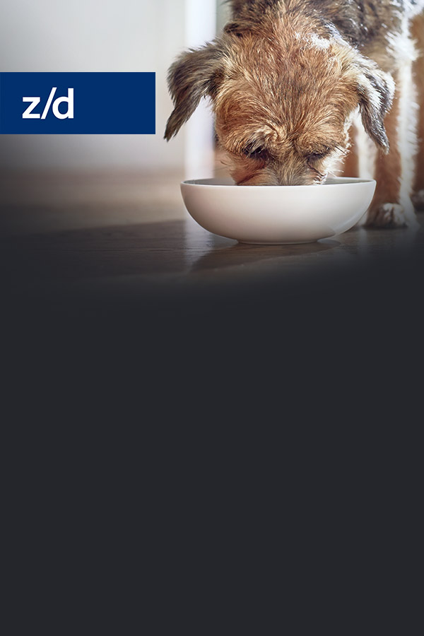 z/d canin