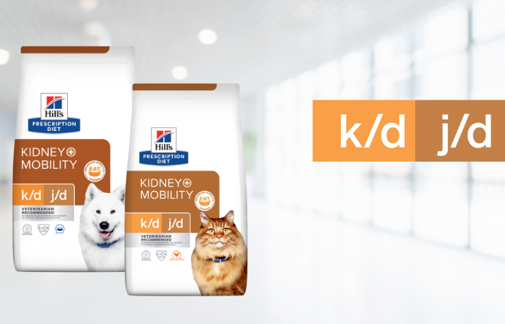 Mobilité rénale K/D y J/D