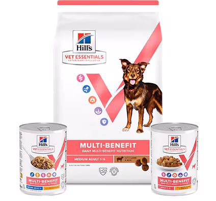 Hill’s&nbsp;Vet&nbsp;Essentials alimentation pour chien adulte