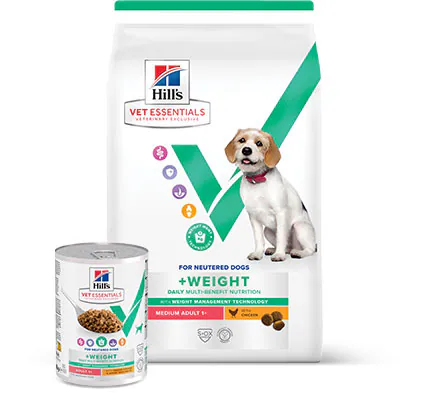Hill’s&nbsp;Vet&nbsp;Essentials Alimentation pour chien stérilisé
